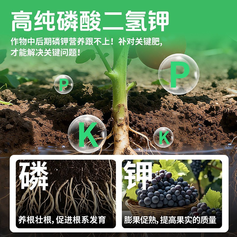 磷酸二氢钾